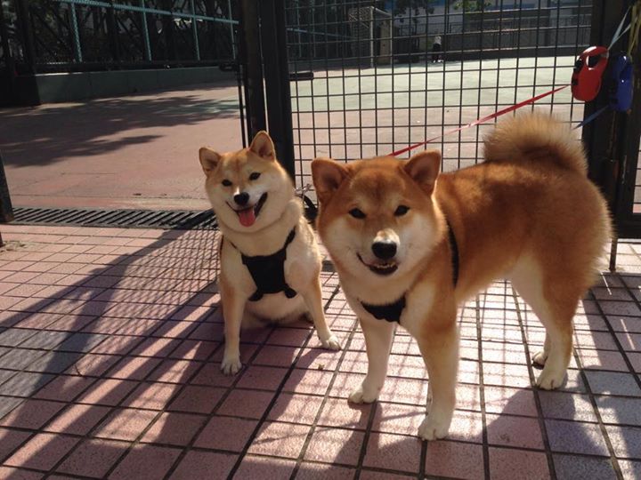 九游体育平台-爵士硬仗取胜掘金，德罗赞在NBA总决赛接管比赛